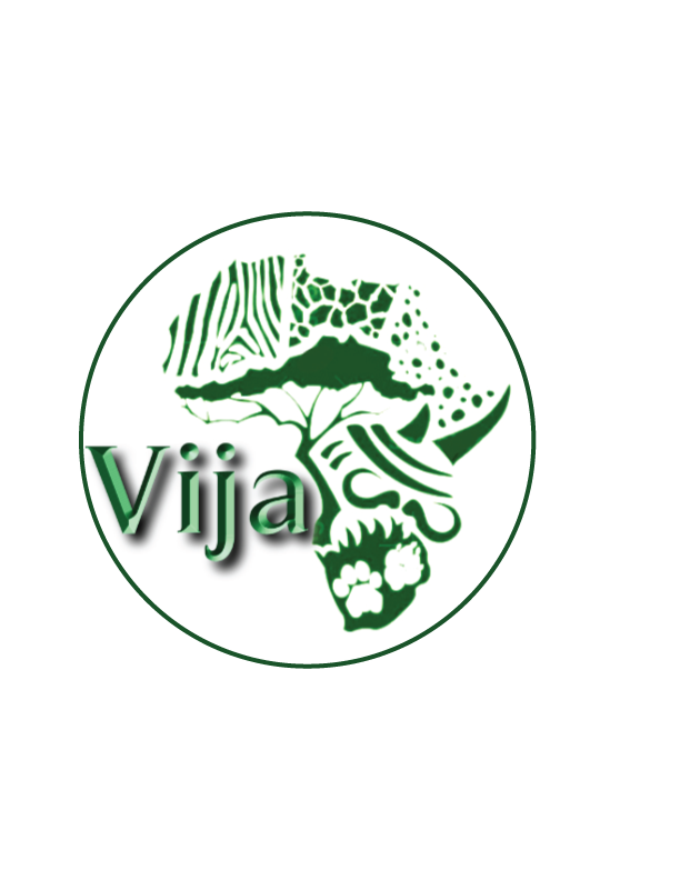 Vija Logistics Logo